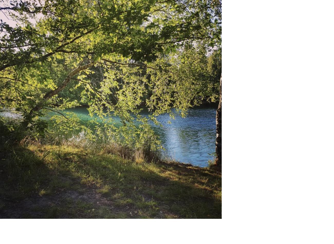 Feel Like Home - Metime2 Frielendorf 外观 照片
